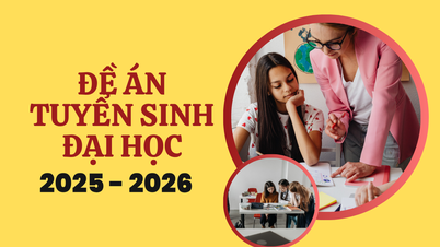 Proyecto de admisión de la Universidad de Educación Técnica de la Ciudad de Ho Chi Minh 2025