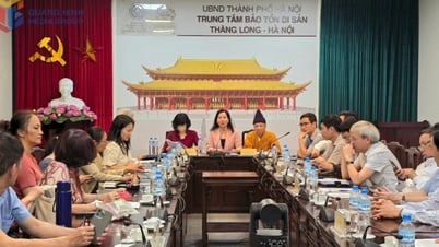 การสนทนาออนไลน์กับผู้เชี่ยวชาญของ ICOMOS เกี่ยวกับเอกสารของกลุ่มโบราณวัตถุ Yen Tu - Vinh Nghiem - Con Son และ Kiep Bac