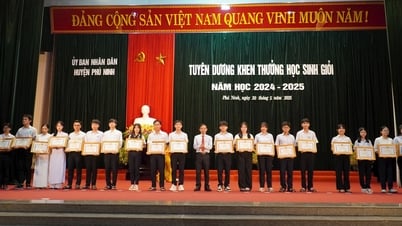 Phu Ninh premia a los estudiantes que ganaron premios en competencias provinciales, nacionales e internacionales