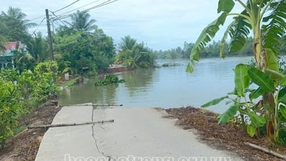 สำรวจพื้นที่ดินถล่มบริเวณแม่น้ำราชโวบ อำเภอเคอแซ็ก