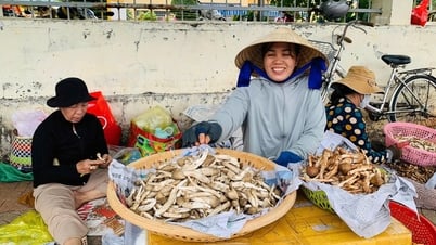 Bà Rịa-Vũng Tàu vào mùa nấm mối