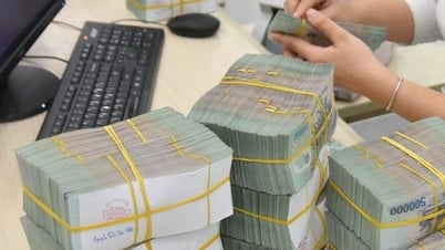 Làm một trang trại mất tới 3 năm, doanh nghiệp rất khó bứt phá