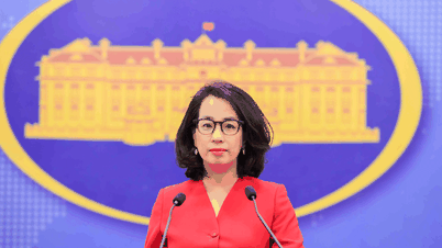 استمر في نصح المواطنين الفيتناميين بعدم الاستماع إلى دعوة "العمل السهل والأجور المرتفعة"
