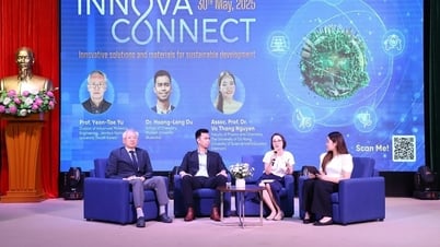 VinFuture InnovaConnect: Nền tảng kết nối nhà khoa học toàn cầu với Việt Nam