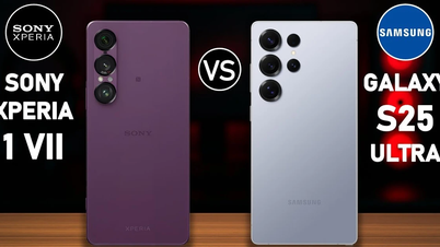 Galaxy S25 Ultra vs Xperia 1 VII, which is the "best"?