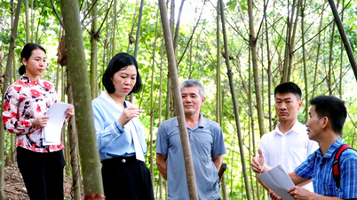 Sở Khoa học và Công nghệ đánh giá đề tài nghiên cứu khoa học tại huyện Bảo Yên và Văn Bàn