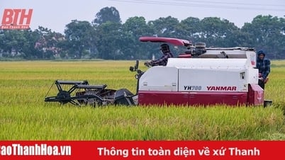 “อุปสรรค” ต่อการเพิ่มอัตราการทำงานแบบซิงโครนัส