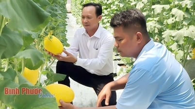 Vers une agriculture durable