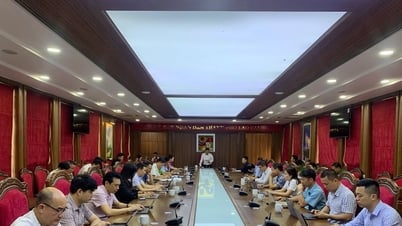 Lào Cai mở đợt cao điểm đấu tranh chống buôn lậu, gian lận thương mại và hàng giả