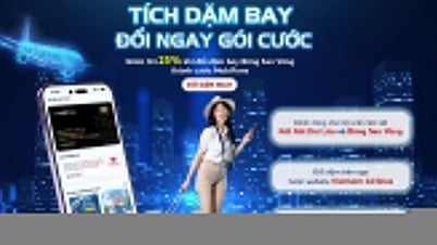 Compromiso a largo plazo: Ofertas de MobiFone y Vietnam Airlines para miembros fieles