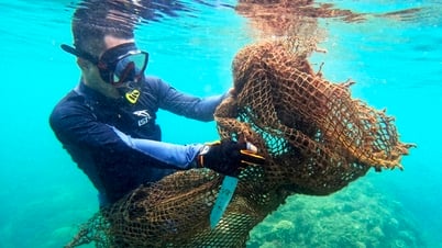 Giải cứu san hô, trả lại sự sống cho 'rừng nơi đáy nước'