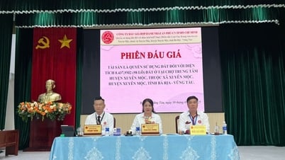 Ba Ria – Vung Tau: 57 Grundstücke erfolgreich versteigert
