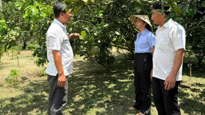 Distrito de Phu Giao: Desarrollo de productos VietGAP sostenibles