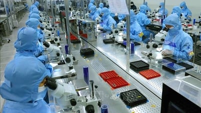 Экономика Вьетнама с международной точки зрения: попытка преодолеть ловушку среднего дохода