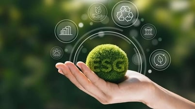 Green and digital transformation of industry and trade: Meeting new requirements of the US and Chinese markets