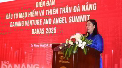 Förderung der Bildung einer Gemeinschaft von Angel-Investoren und Risikokapitalfonds in Da Nang