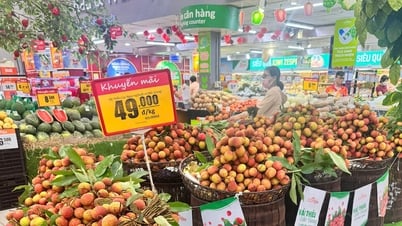 Chung tay tiêu thụ sản phẩm OCOP