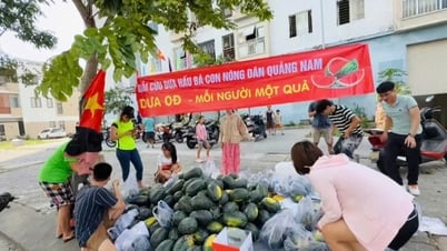 광남 농민들과 함께 나누며, 청년들이 폭락하는 수박 가격을 '구출'