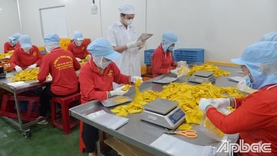 Phụ nữ Tiền Giang tự tin khởi nghiệp, phát triển kinh tế