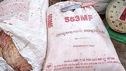 El nombre de la compañía CP Vietnam estaba impreso en el paquete que contenía toneladas de órganos y carne de origen desconocido en Da Nang.