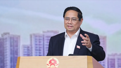Thủ tướng yêu cầu xử nghiêm các trường hợp thao túng giá, nâng khống giá bán