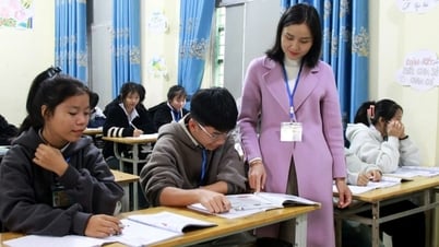 إنفاق ما يقرب من 22 مليار دونج لتكملة تمويل الدروس الخصوصية الإضافية والتحضير لامتحان التخرج