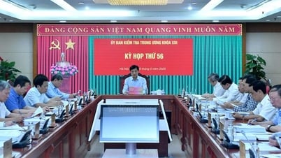 The Central Inspection Commission disciplines party members who violate the law.
