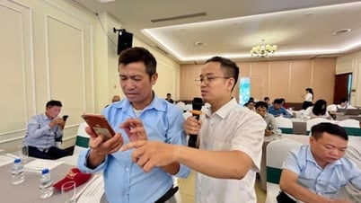 Solving output problems for Ninh Binh OCOP products