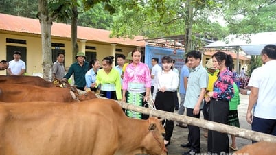 Son Duong reduce la pobreza multidimensional de forma sostenible