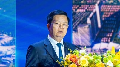 Más de 4 mil millones de dólares se vertieron en Ba Ria - Vung Tau