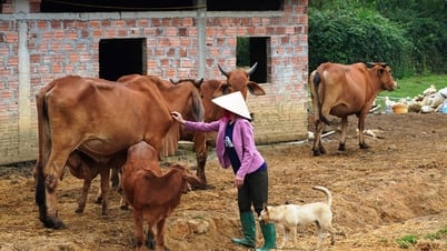 Các trường hợp, biện pháp, mức hỗ trợ di dời đối với từng loại vật nuôi khi Nhà nước thu hồi đất