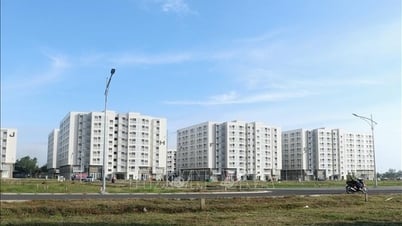 Résolution sur le pilotage d'un certain nombre de mécanismes et de politiques pour le développement du logement social