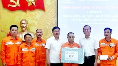 Ha Giang Electricity Company reagiert aktiv auf den Arbeitermonat