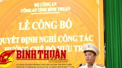 Đại tá Đinh Kim Lập, Phó Giám đốc Công an tỉnh nghỉ hưu
