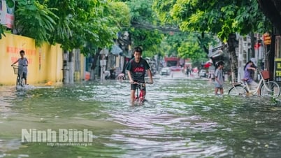 Официальное сообщение Провинциального народного комитета о мерах упреждающего реагирования на стихийные бедствия