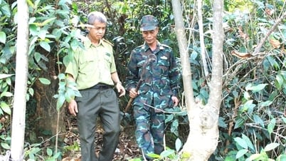 Les gens reviennent au milieu du vert de la chaîne de montagnes Truong Son