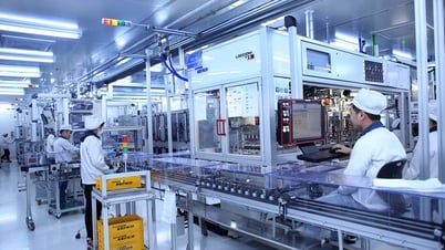 Экологическая брендинговая коммуникация некоторых предприятий с прямыми иностранными инвестициями во Вьетнаме