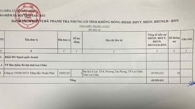Lai Châu: 1 doanh nghiệp nợ đọng bảo hiểm xã hội