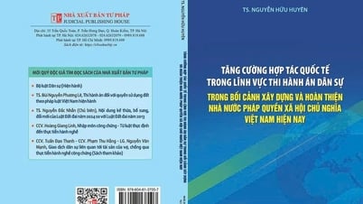 การเสริมสร้างความร่วมมือระหว่างประเทศในด้านการบังคับใช้คำพิพากษาแพ่งในบริบทของการสร้างและปรับปรุงหลักนิติธรรมสังคมนิยมของเวียดนามในปัจจุบัน