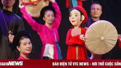 Vietnamese water puppetry creates fever in Japan