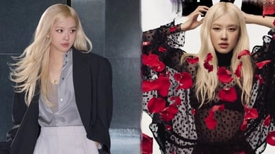 로제는 미니멀리스트에서 섹시하고 대담한 스타일로 변신해 화제를 모았습니다.
