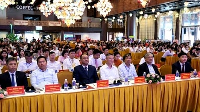 ฮานามปลดปล่อยทรัพยากร ส่งเสริมการท่องเที่ยวสู่ระดับนานาชาติ