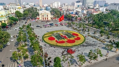 إنشاء وحدة دائمة لدعم إعادة تنظيم الأجهزة والوحدات الإدارية على كافة المستويات.
