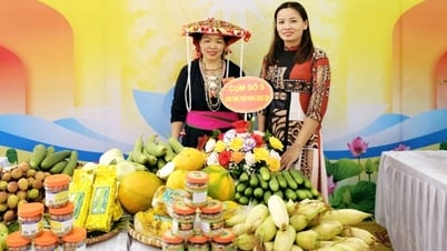 Đoan Hùng: Duy trì hiệu quả 22 nhóm phụ nữ liên kết phát triển kinh tế tại 14 xã