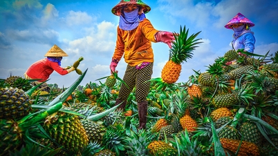 The role of the informal economy in socio-economic development of the Mekong Delta