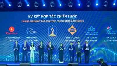 Ba Ria-Vung Tau signs strategic cooperation with many large-scale investors