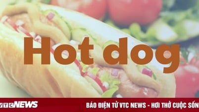 Từ 'Hot dog' là món ăn quen thuộc nhưng cái tên kỳ lạ này từ đâu ra?