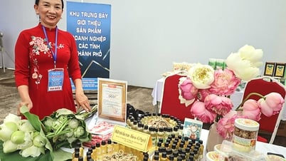 "Đòn bẩy" cho sản phẩm đặc trưng Quảng Bình vươn xa