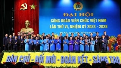 Tổng Liên đoàn Lao động hướng dẫn cụ thể việc giải thể một số tổ chức công đoàn