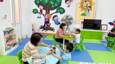 障害のある子どもたちの未来を照らす旅
